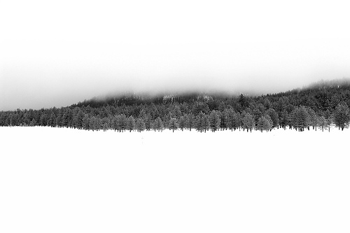 snowy