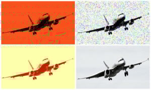 flew ludtke