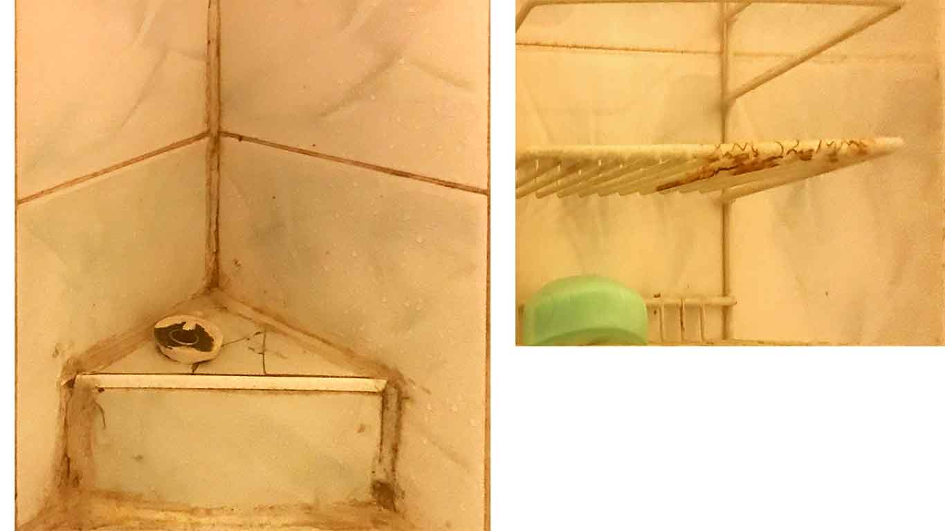 These photos of the bathroom of this horrible Airbnb rental show filth and mold.