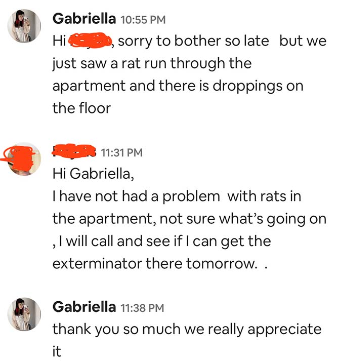 The Airbnb host says she's never had problems with rats before but will send an exterminator. 