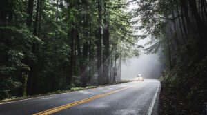 How can I make Avis refund this surprise $4,228 car rental charge?