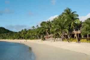 To see Kokomo's Christmas trees, you have to dive into the South Pacific. These trees aren't decorated with tinsel or lights. They're rebar skeletons suspended in the gentle currents of the Great Astrolabe Reef, covered in fragments of living coral.