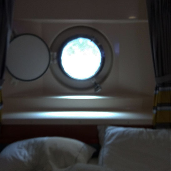 Cruise ship passengers should be prepared for the possibility of lengthy quarantine in tiny rooms -- with or without portholes. 