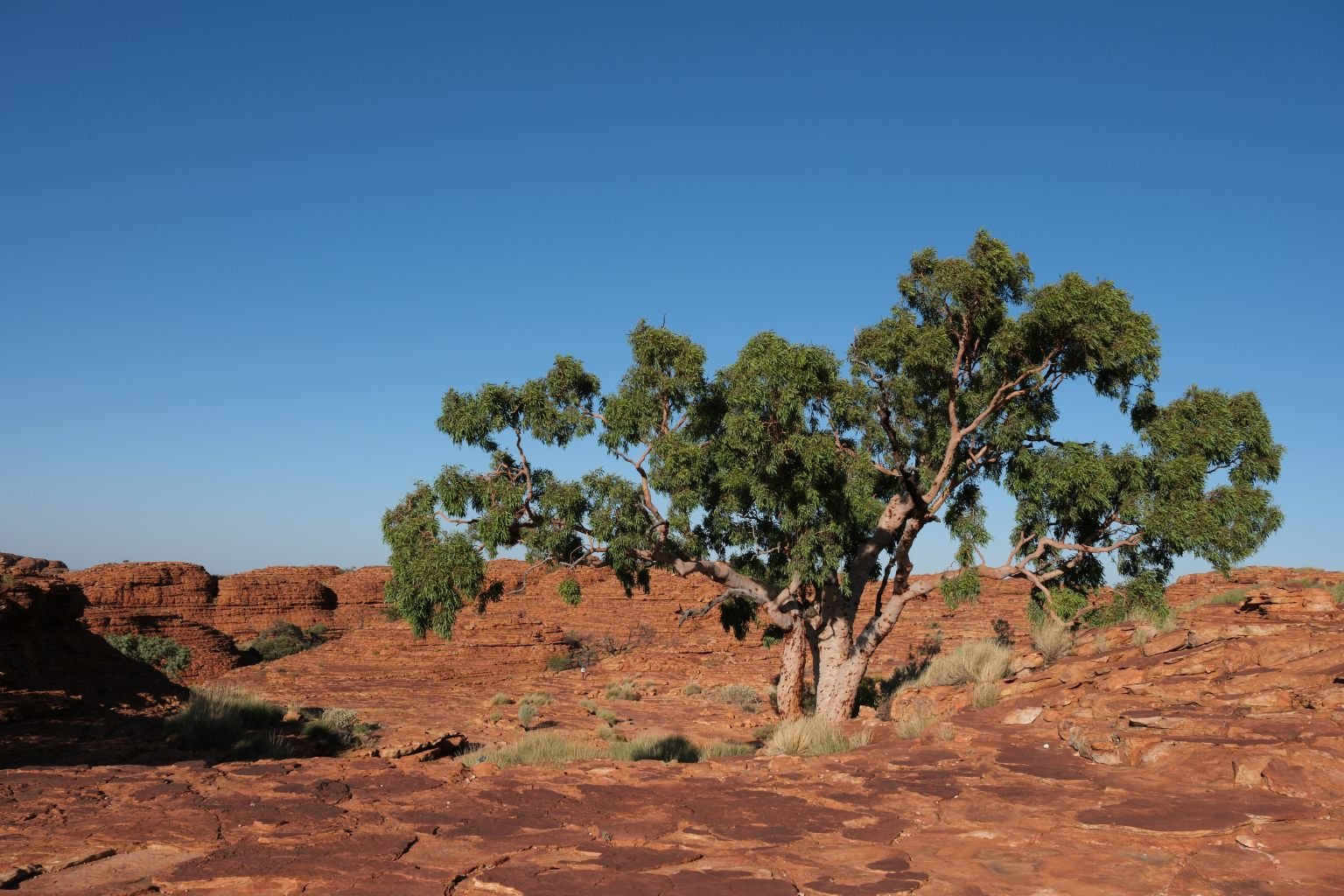 Under a vast sky, Australia’s Northern Territory grapples with tourism sustainability