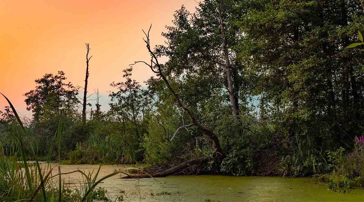 This Louisiana vacation rental does not exist. So what happened to the traveler's money?