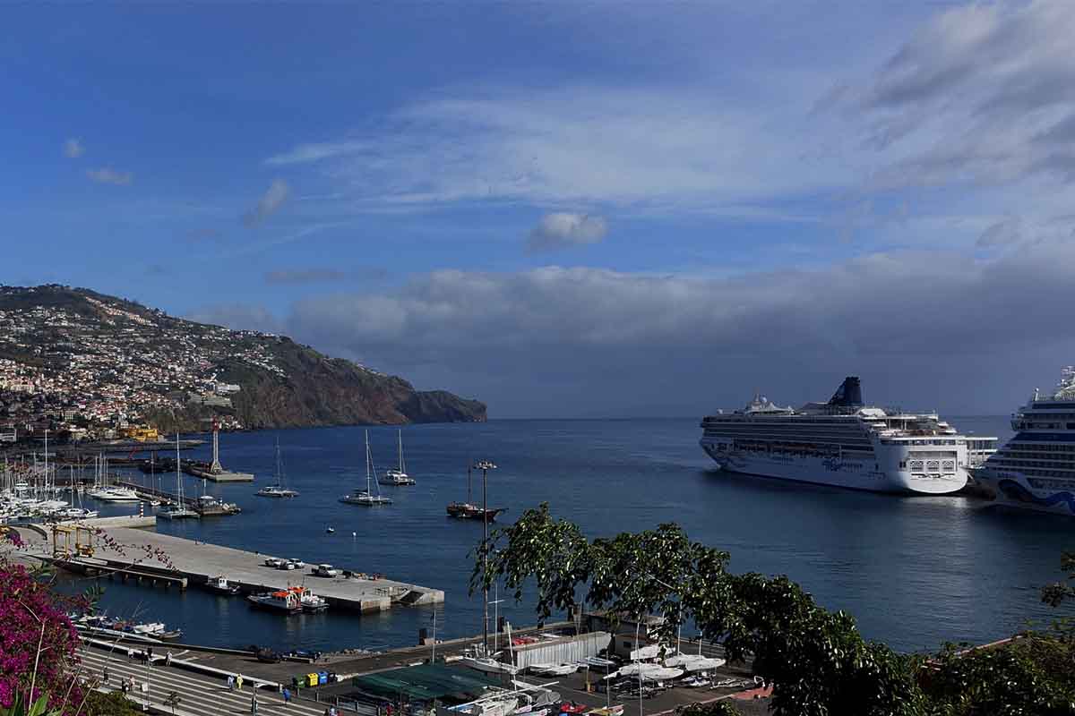 If an agent cancels your cruise, what now?