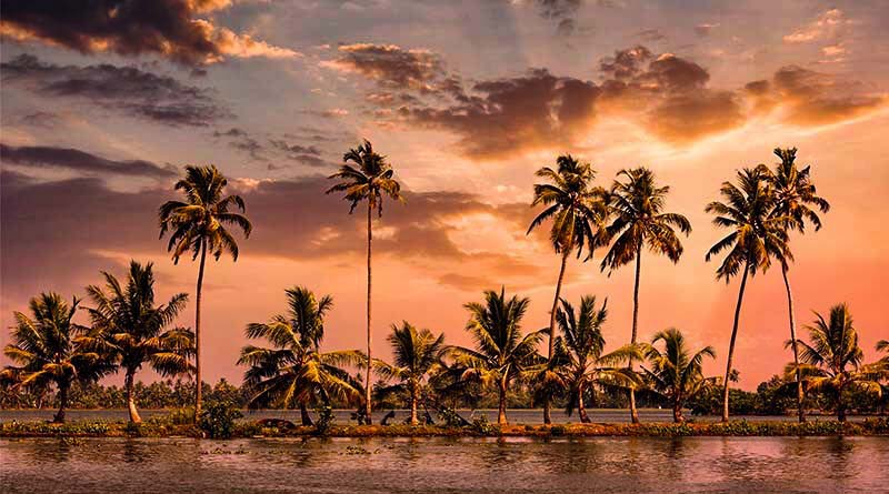 Her expired e-visa caused her to take an express round-trip journey to India -- no vacation included.
