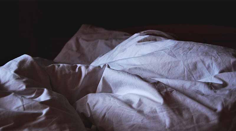 Bedbugs in their hotel room? Not according to Orkin