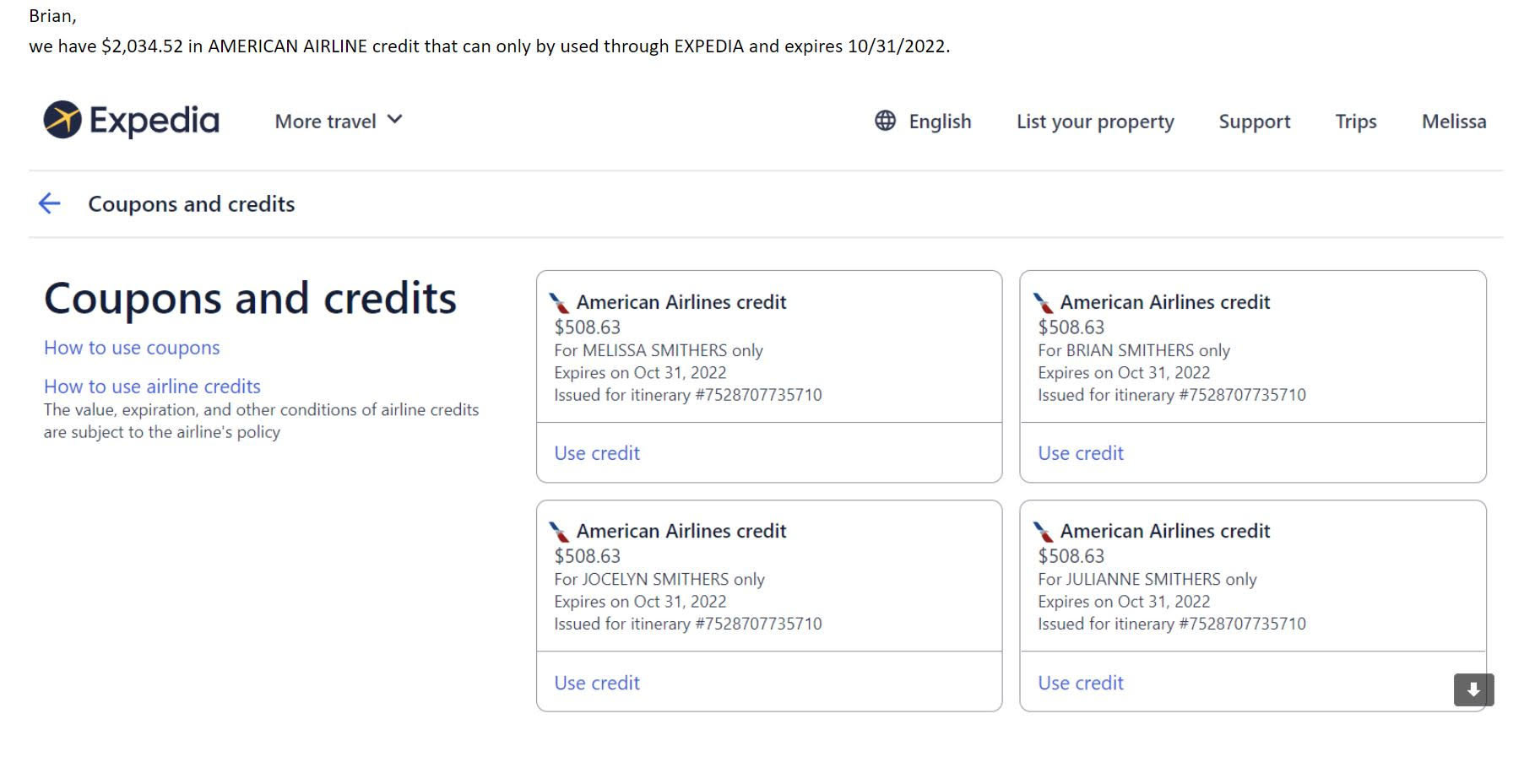 expedia use travel credit