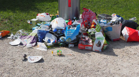 Vrbo Trashed Dead chickens and overflowing trash in VRBO rental