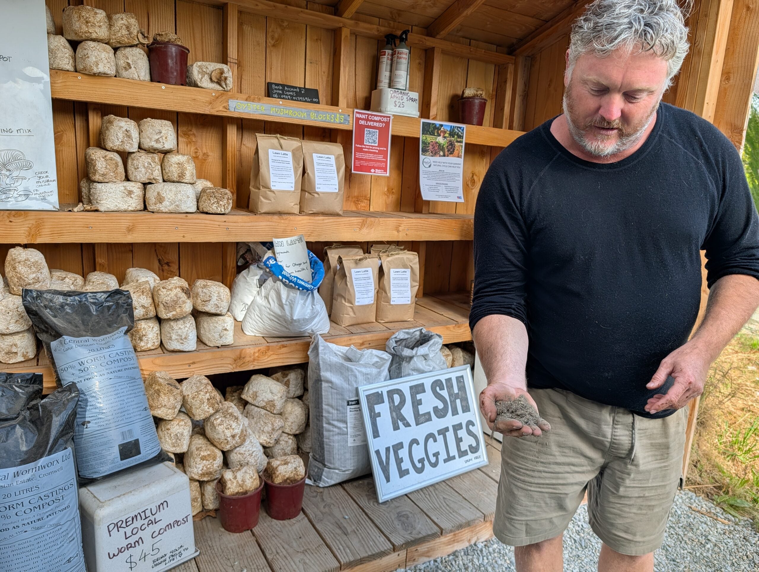 Michael Sly, Queenstown's Compost King, shows off a handful of fresh lawn latte powder at his fruit stand.