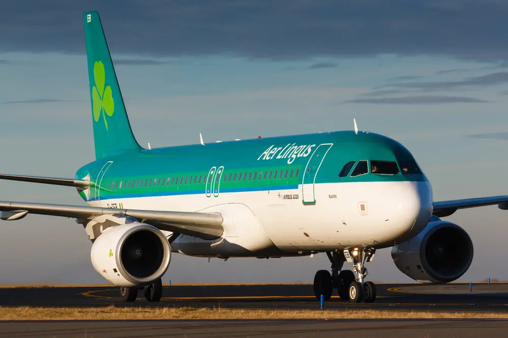 When John Banister's bid for an upgrade on Aer Lingus is successful, he thinks he'll be flying home in style. He's half right.